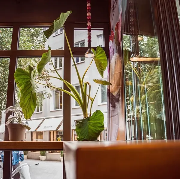 Blick aus dem Café auf den Rathausplatz Augsburg